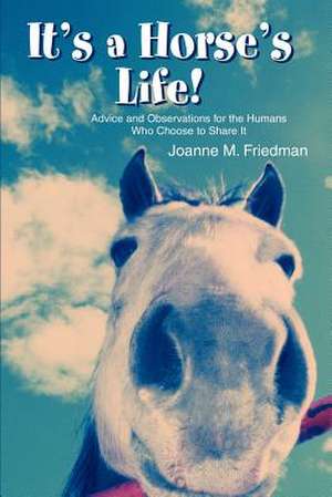 It's a Horse's Life! de Joanne M. Friedman