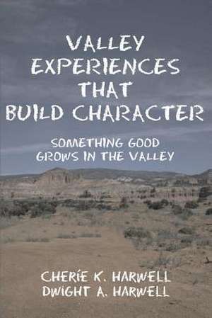 Valley Experiences That Build Character de Cherie K. Harwell