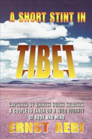 A Short Stint in Tibet de Ernst Walter Aebi