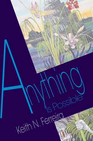 Anything Is Possible de Keith N. Ferreira