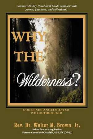 Why the Wilderness? de Walter M. Jr. Brown