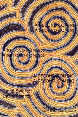 A Second Coming de David Swartz