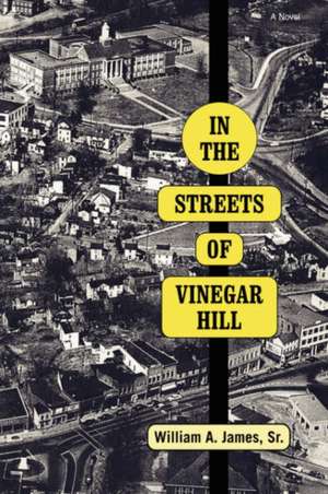 In the Streets of Vinegar Hill de Sr. William a. James