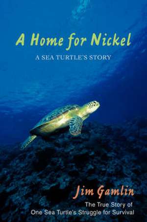 A Home for Nickel de Jim Gamlin