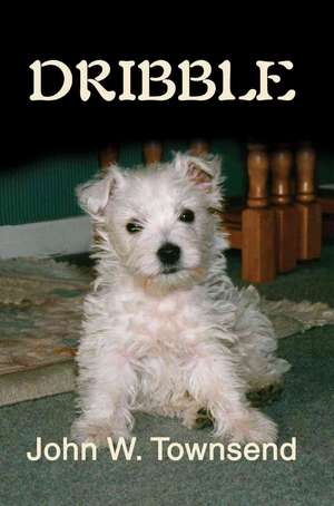 Dribble de John W. Townsend