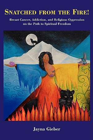 SNATCHED FROM THE FIRE! de Jayna Gieber