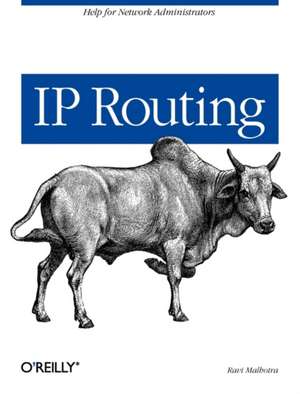 IP Routing de Ravi Malhotra