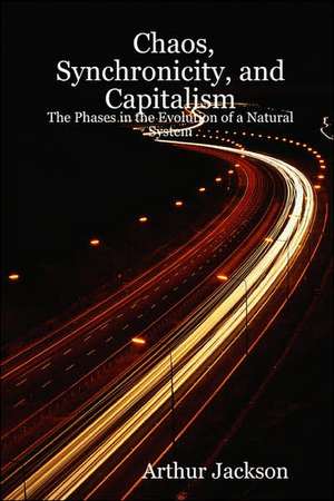 Chaos, Synchronicity, and Capitalism: The Phases in the Evolution of a Natural System de Arthur Jackson