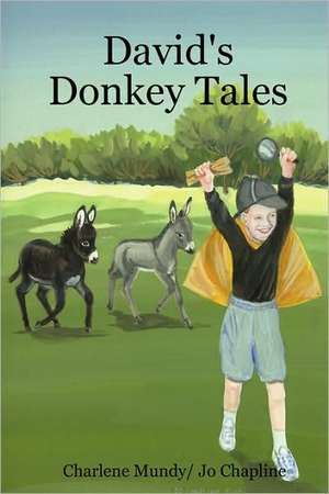 David's Donkey Tales de Charlene Mundy