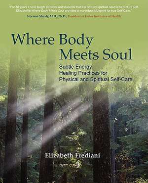 Where Body Meets Soul: Subtle Energy Healing Practices for Physical and Spiritual Self-Care de Elizabeth Rose Frediani