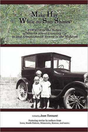 Make Hay While the Sun Shines: Fourth in the Series of Stories about Growing Up in and Around Small Towns in the Midwest de Jean Tennant