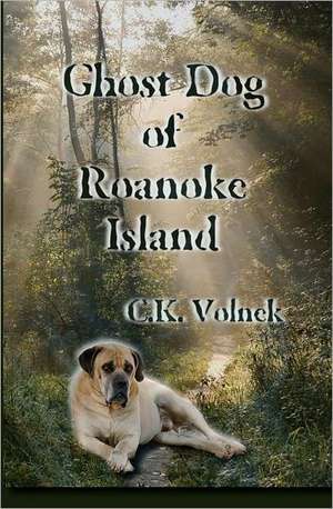 Ghost Dog of Roanoke Island: The Fine Artist's Guide to Getting Into Galleries and Selling More Art de Volnek, C. K.