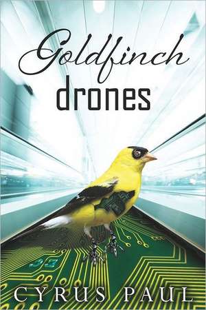Goldfinch Drones de Cyrus Paul