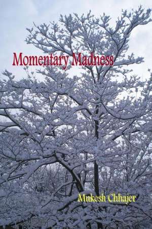 Momentary Madness: Book One of the Celebration Trilogy de Mukesh Chhajer