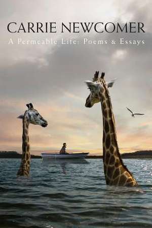 A Permeable Life de Carrie Newcomer