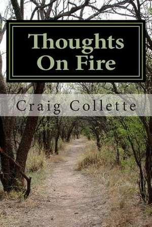 Thoughts on Fire de Craig J. Collette