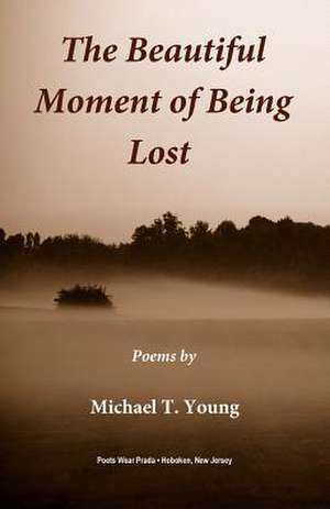 The Beautiful Moment of Being Lost de Michael T. Young