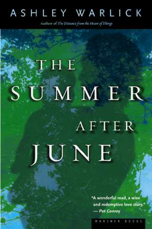 The Summer After June de Ashley Warlick