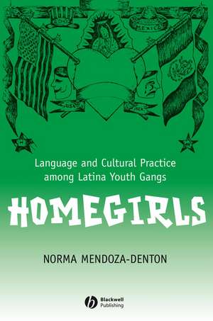 Homegirls – Language and Cultural Practice Among Latina Youth Gangs de N Mendoza–Denton