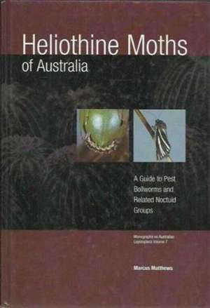 Heliothine Moths of Australia: "A Reference Guide to Pest Bollworms and Related Noctuid Groups" de Marcus Matthews