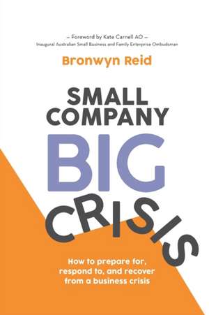 Small Company Big Crisis de Bronwyn Reid