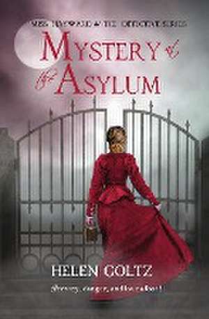 Mystery at the Asylum de Helen Goltz