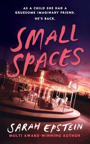 Small Spaces de Sarah Epstein