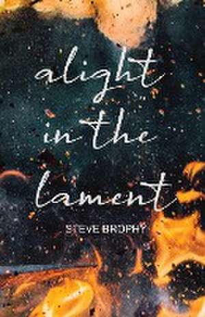 alight in the lament de Steve Brophy