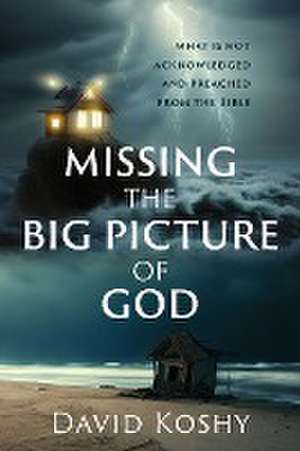 Missing The Big Picture Of God de David Koshy