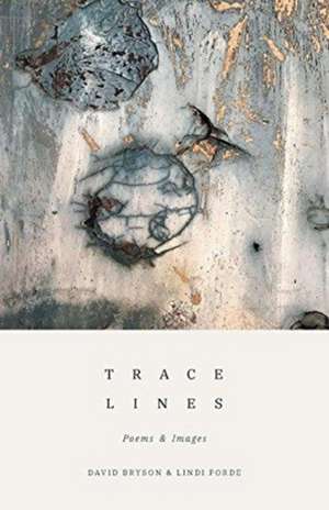 Trace Lines de David Bryson