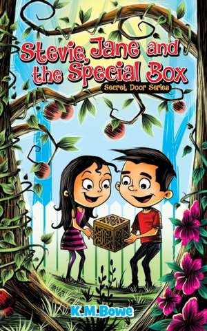 Stevie, Jane and the Special Box de K. M. Bowe