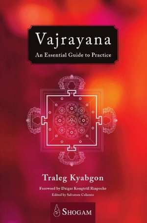 Vajrayana: An Essential Guide to Practice de Traleg Kyabgon