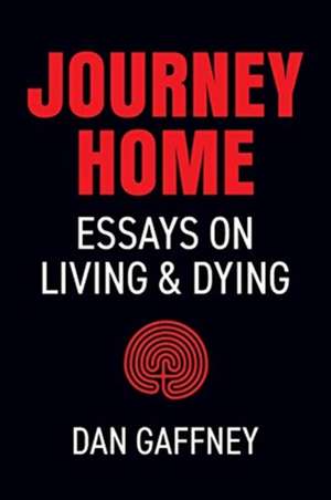 Journey Home de Dan Gaffney