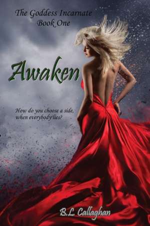 Awaken de B. L. Callaghan