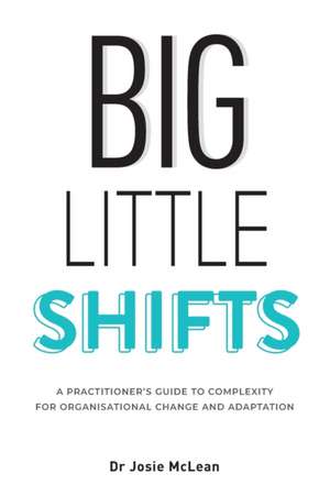 Big Little Shifts de Josie McLean