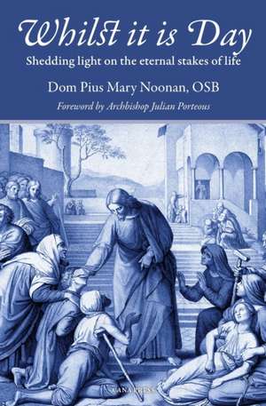 Whilst It Is Day: Shedding Light on the Eternal Stakes of Life de Pius Mary Noonan