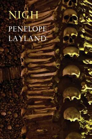 Nigh de Penelope Layland