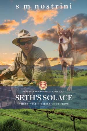 Seth's Solace de S M Nostrini