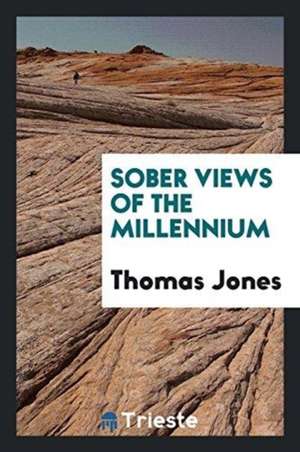 Sober Views of the Millennium de Thomas Jones