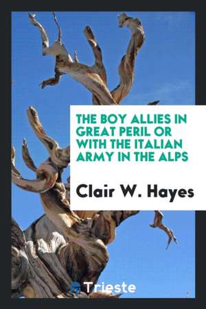 The Boy Allies in Great Peril or with the Italian Army in the Alps de Clair W. Hayes