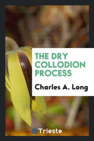 The Dry Collodion Process de Charles A. Long
