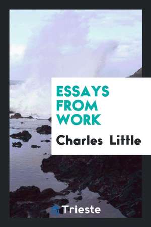 Essays from Work de Charles Little