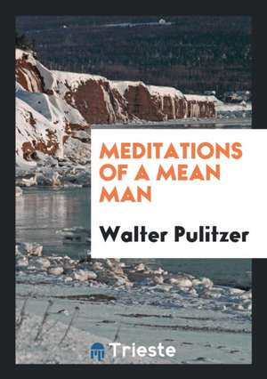 Meditations of a Mean Man de Walter Pulitzer