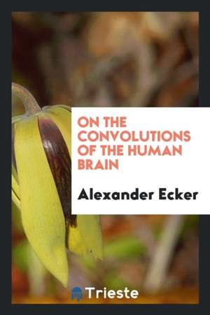 On the Convolutions of the Human Brain de Alexander Ecker