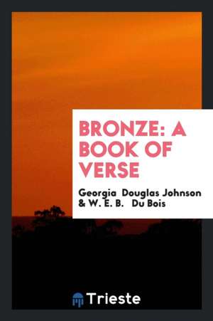 Bronze: A Book of Verse de Georgia Douglas Johnson