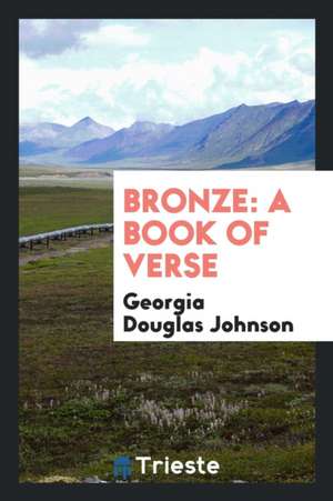 Bronze: A Book of Verse de Georgia Douglas Johnson