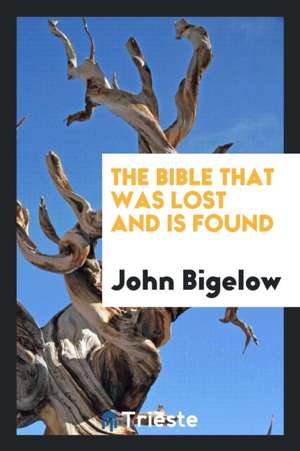 The Bible That Was Lost and Is Found de John Bigelow