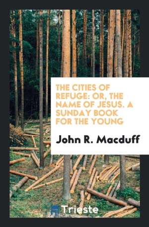 The Cities of Refuge: Or, the Name of Jesus. a Sunday Book for the Young de John R. Macduff