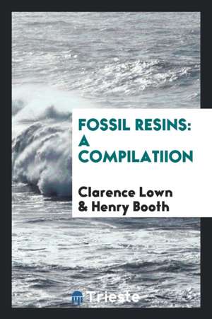 Fossil Resins: A Compilatiion de Clarence Lown