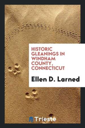 Historic Gleanings in Windham County, Connecticut de Ellen D. Larned